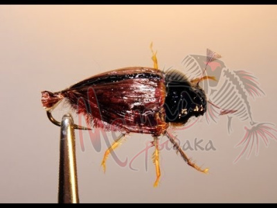 Мушка МАЙСКИЙ ЖУК