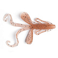 Hogy Hog